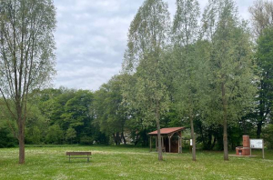 SternenFilmzauber